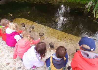 Enfants en sortie devant un bassin avec des épuisettes