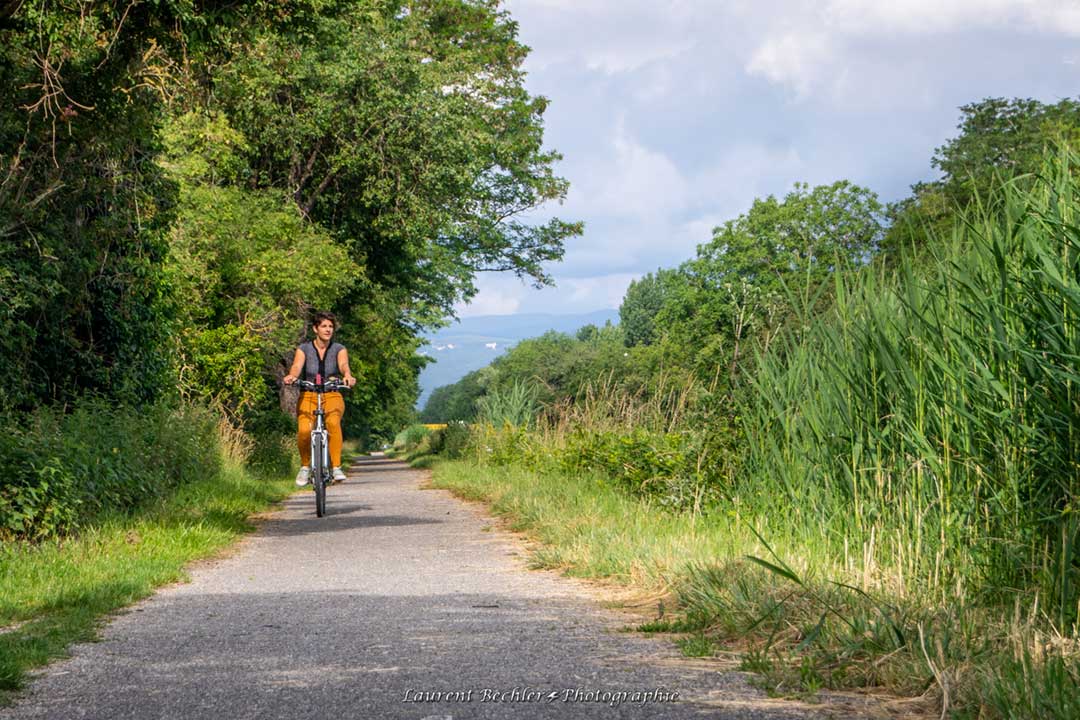 Une femme qui dait du vélo sur une piste cyclable au milieu des champs