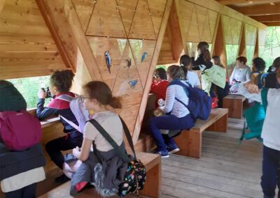 Animation réalisée auprès des scolaires par la Maison de la Nature du vieux canal