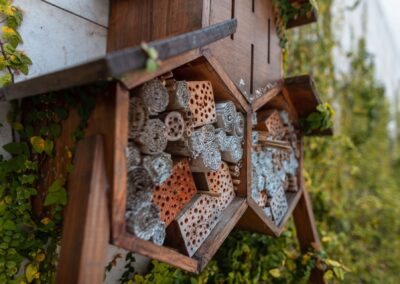 Maison à insecte