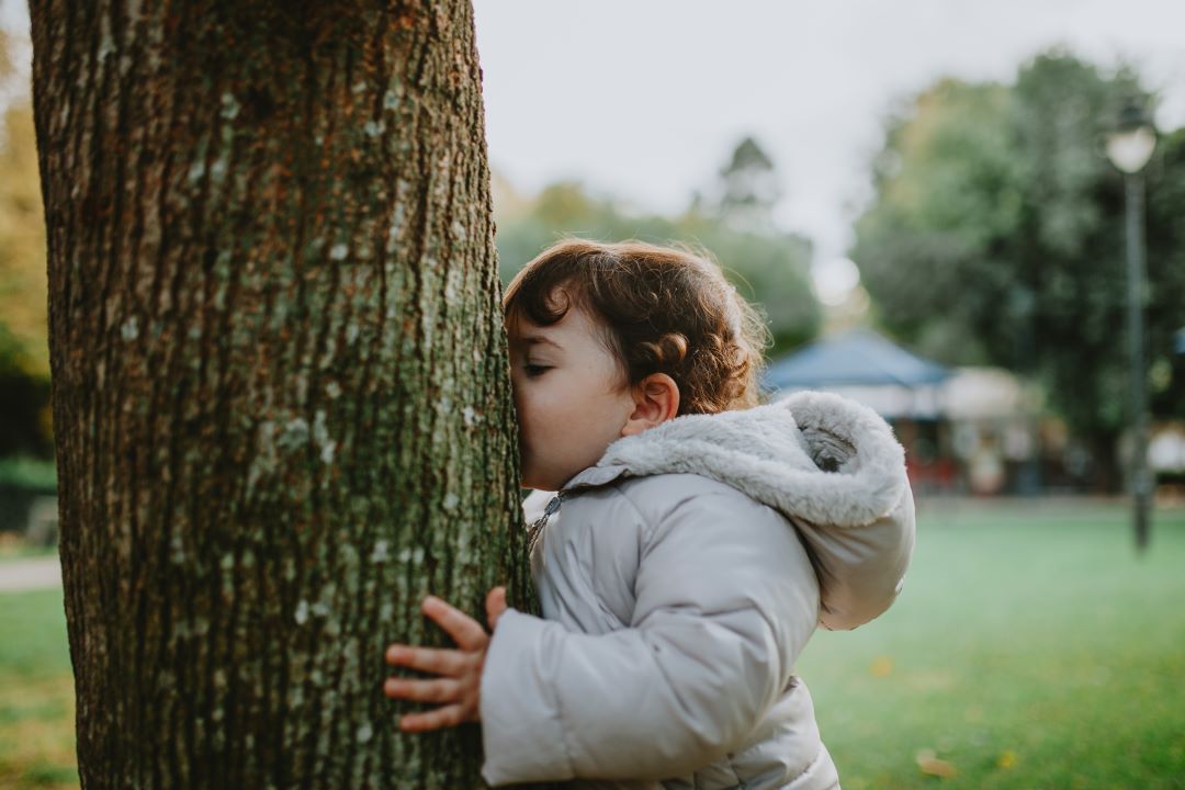 petite fille de 2, 3 ans embrassant, un arbre