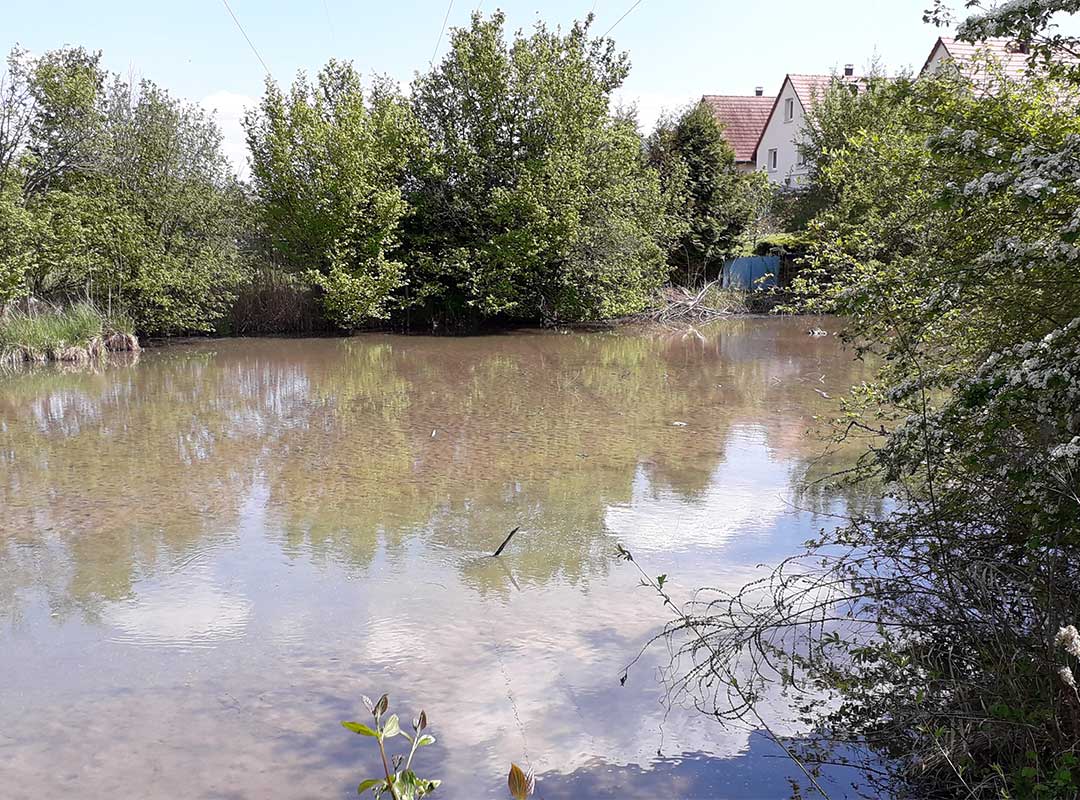 Vue sur un étang avec des maisons en arrière-plan