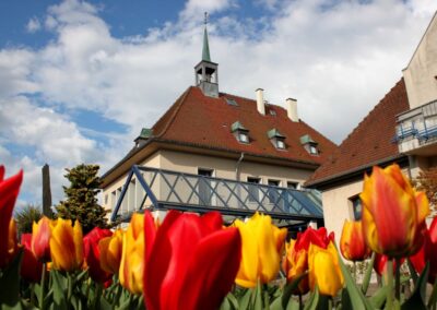 Champs de tulipes aux couleurs chaudes, rouge, jaune, oranger au pied d'un bâtiment communal