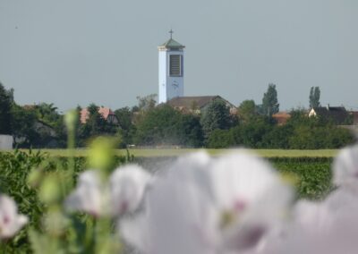 Lunbchouse, champ agricole au premier plan, clocher de l'église au second plan