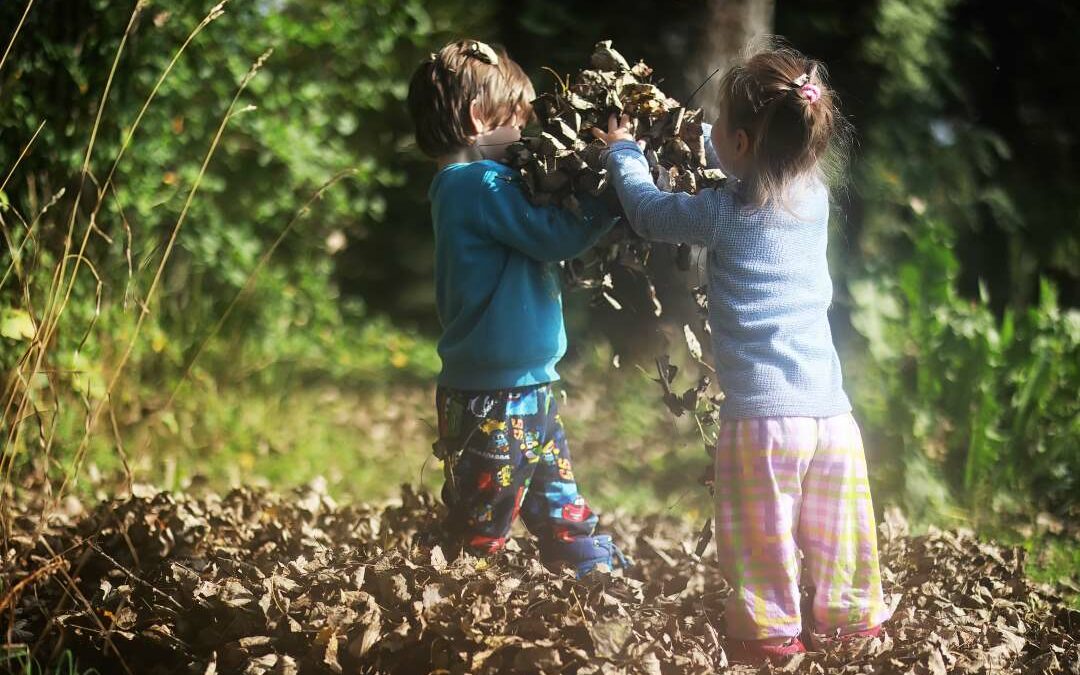 Animations estivales enfants : le programme est disponible