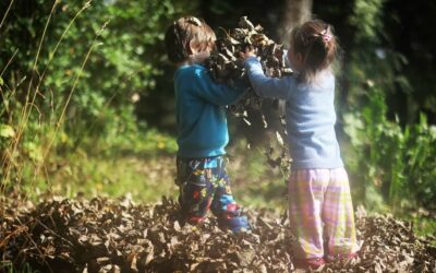 Animations estivales enfants : le programme est disponible