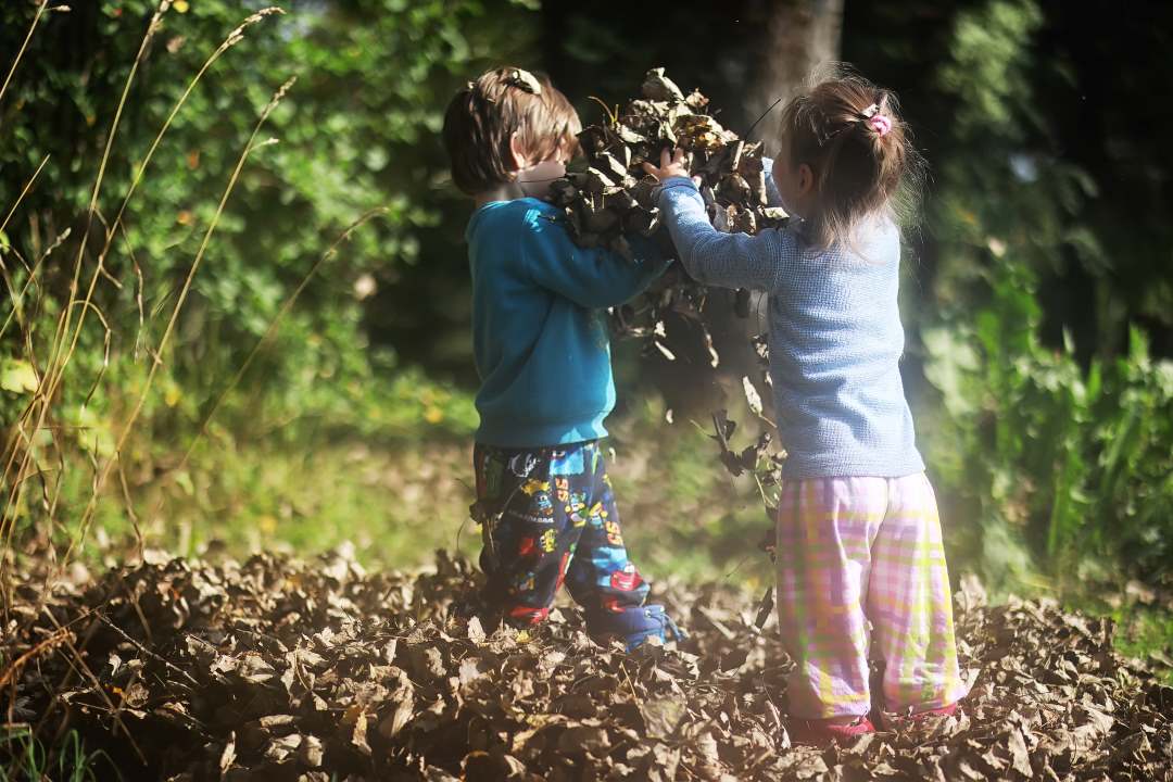 deux enfants de 2 trois ans ramassent des feuilles mortes dans leur jardin en pyjama