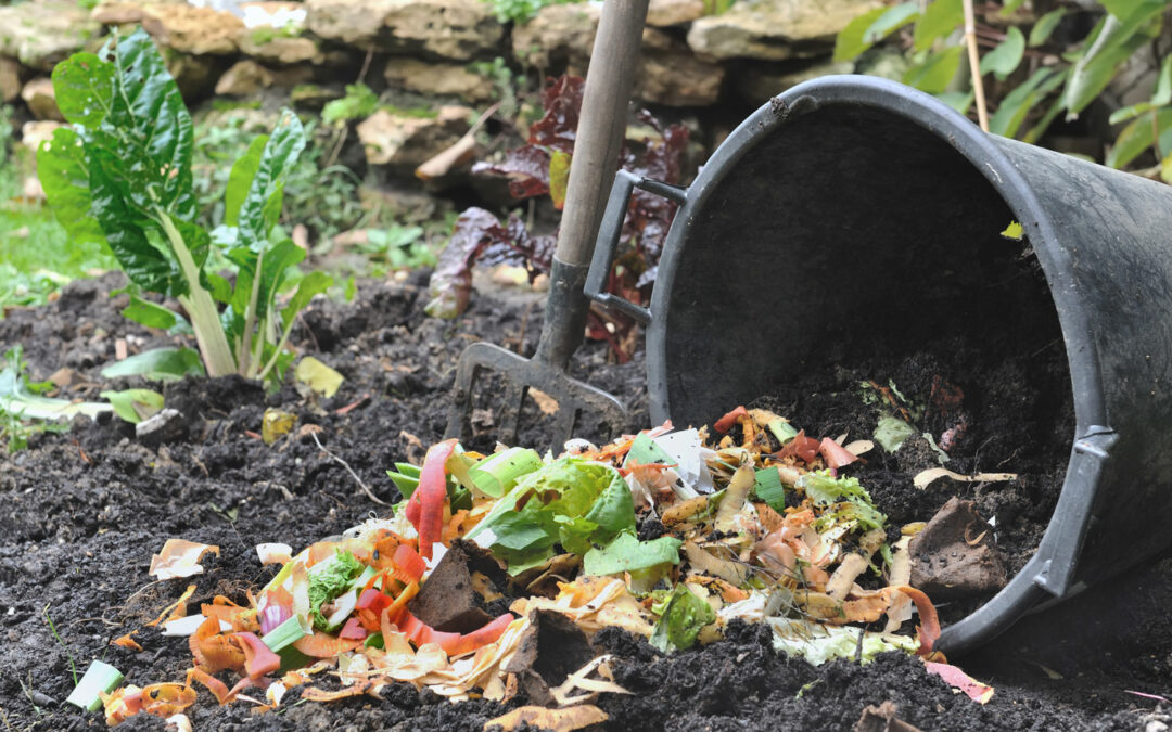 Jardinage au naturel : disposez de compost et de broyat