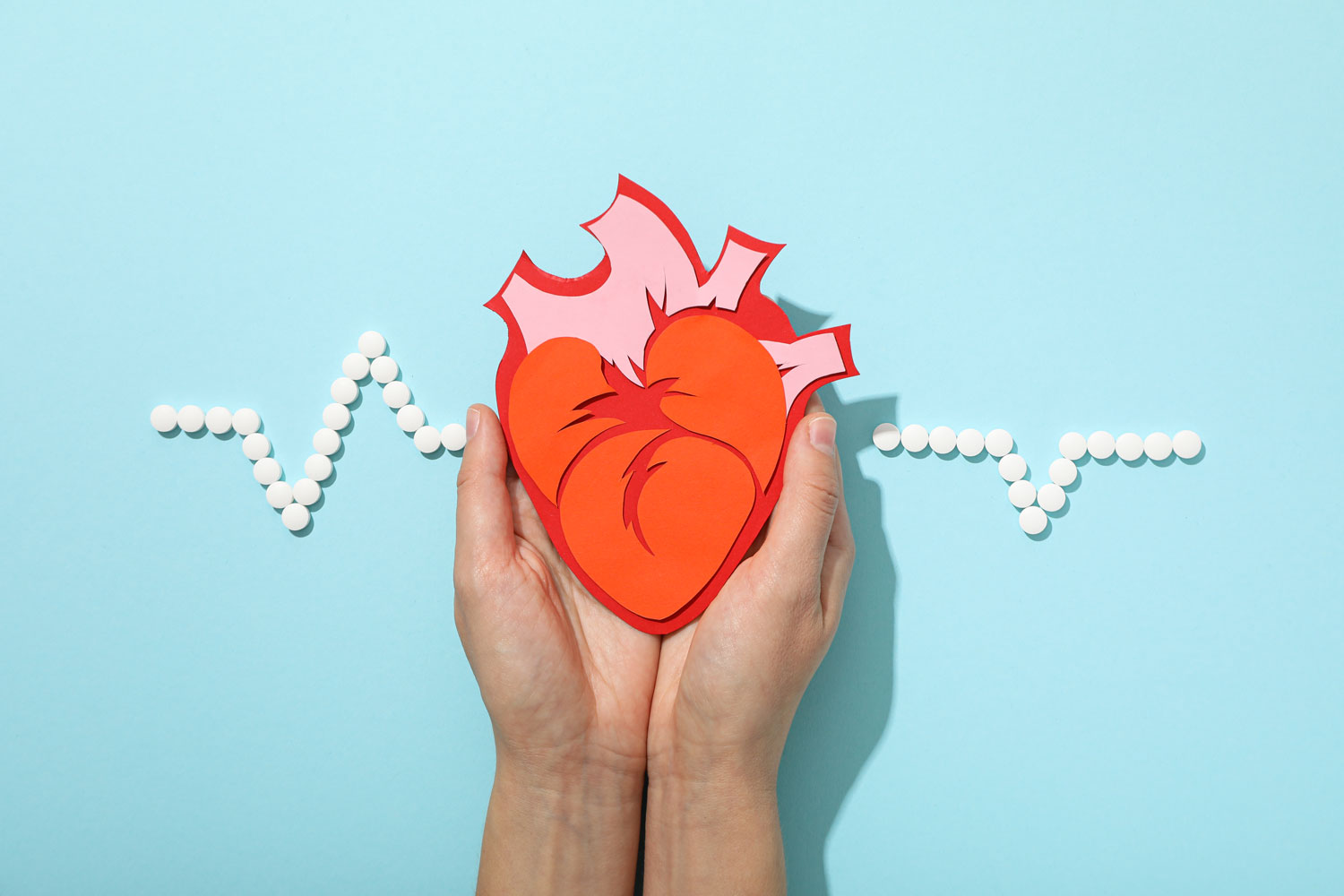 Des ateliers pratiques pour les patients à risque ou souffrant de maladie cardio vasculaire