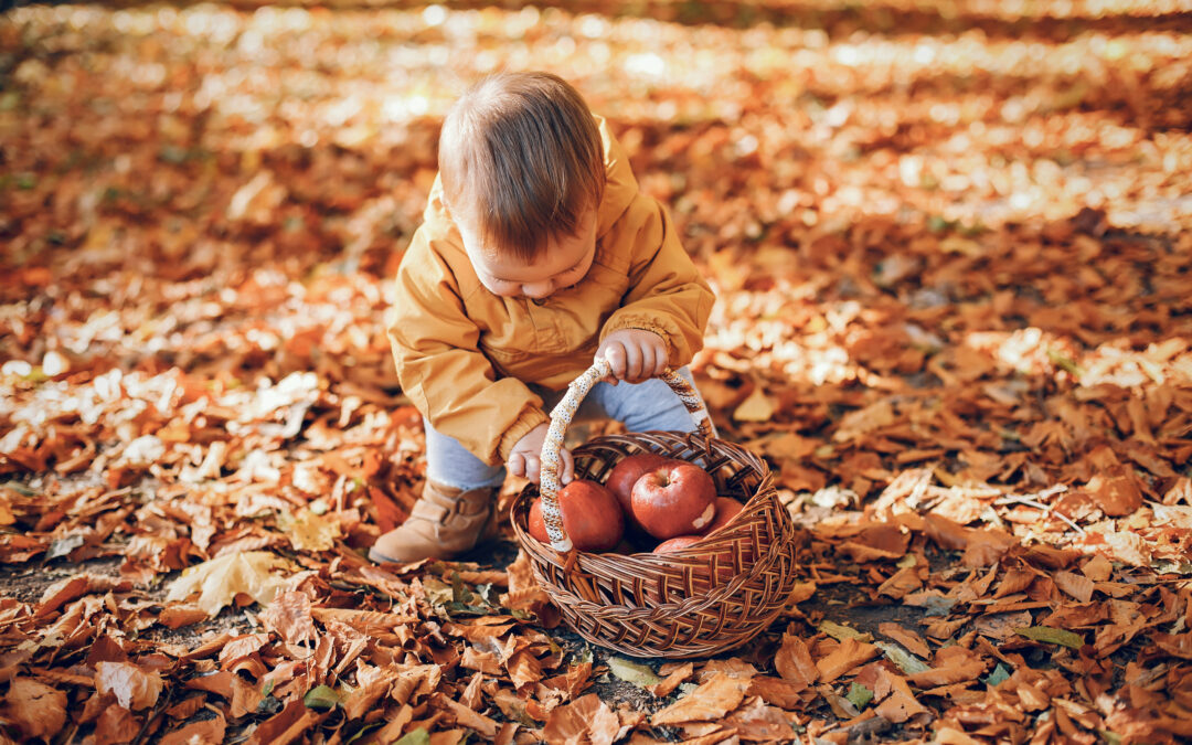 Animations d’automne pour enfants : le programme est disponible.
