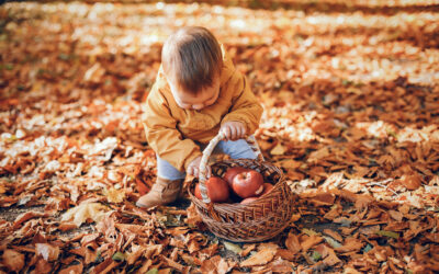 Animations d’automne pour enfants : le programme est disponible.