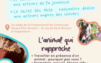 Rencontres autour de la médiation par l&rsquo;animal