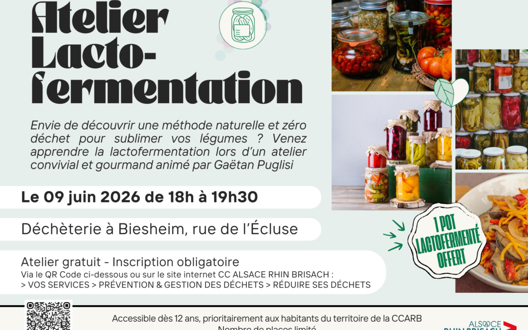 Atelier lactofermentation