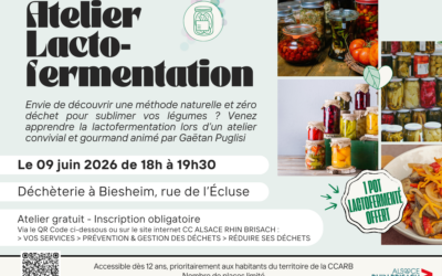 Atelier lactofermentation