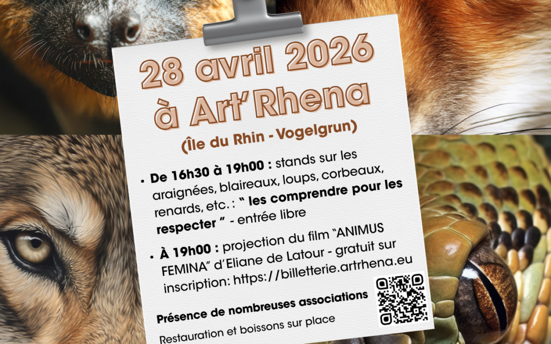 Les mal-aimés : changeons de regard !