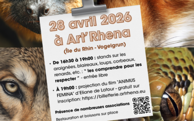 Les mal-aimés : changeons de regard !