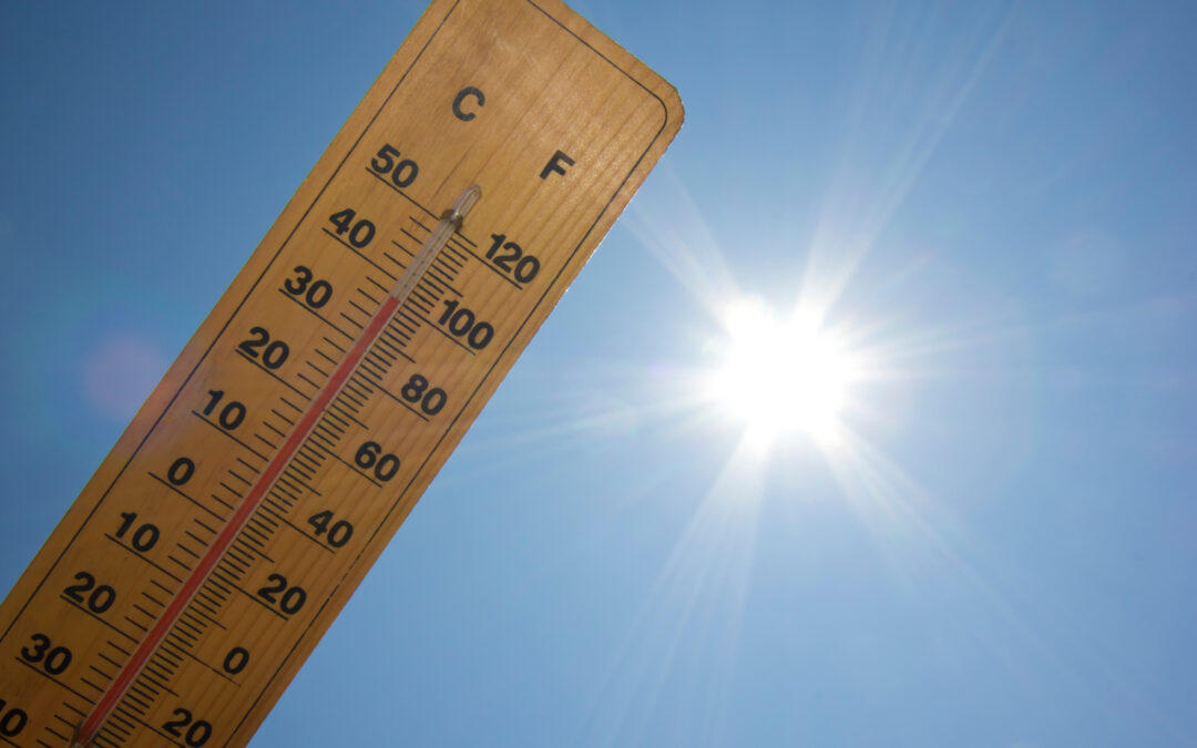 Canicule – Vigilance ROUGE : horaires des déchèteries et points verts