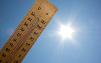 Adaptation des horaires de déchèteries et points verts en cas de canicule