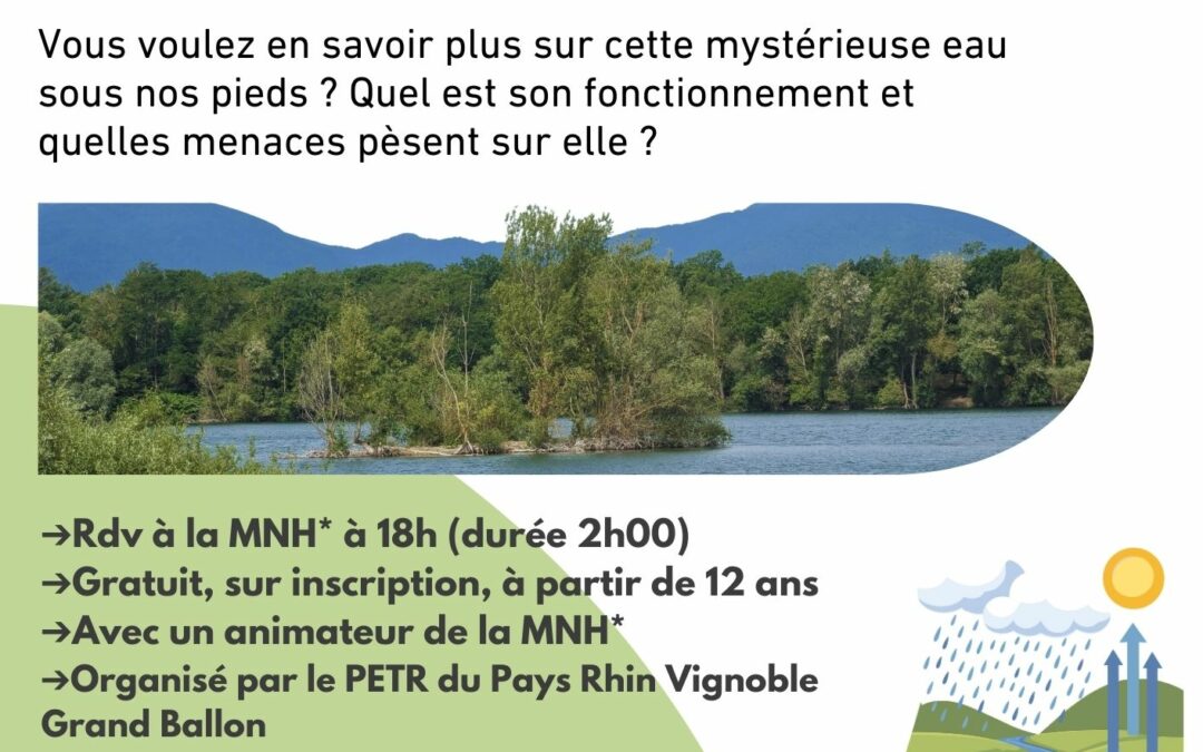 A la découverte de la nappe phréatique d&rsquo;Alsace