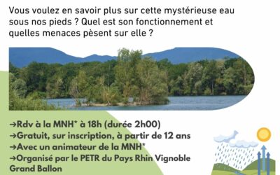 A la découverte de la nappe phréatique d&rsquo;Alsace